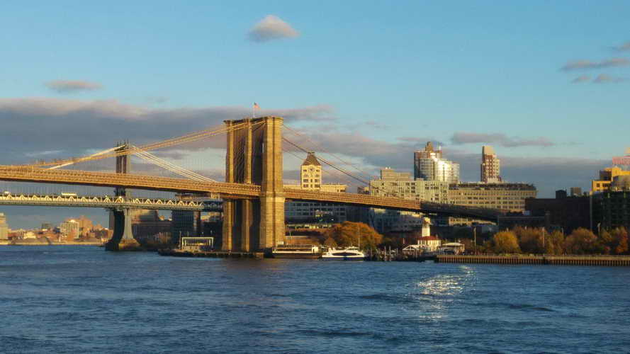 NYC_2017-11-22 15-55-47_CELL_20171122_155547